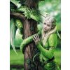 Clementoni Anne Stokes Kindred spirits 1000 dielov
