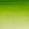 Winsor & Newton Akvarelové farby COTMAN 21ml, rôzne odtiene Odtieň: sap green
