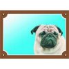 Dafiko Tabulka Tady hlídám! Mops 1ks
