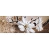 Samolepiaca bordúra Kvety BO5036 15cmx5m