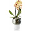 Eva Solo Samozavlažovací kvetináč 15 cm, pre orchidey, sklo