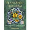 PLANT SPIRIT HERBALISM (DOONER WENDY)(Brožovaná)