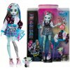 Mattel Monster High Frankie Stein Doll With Blue And Black Streaked Hair