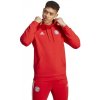 adidas FC Bayern Dna Hoodie M HY3291 (188004) Black/Green M