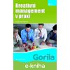 E-kniha Kreativní management v praxi - Ivana Hospodářová