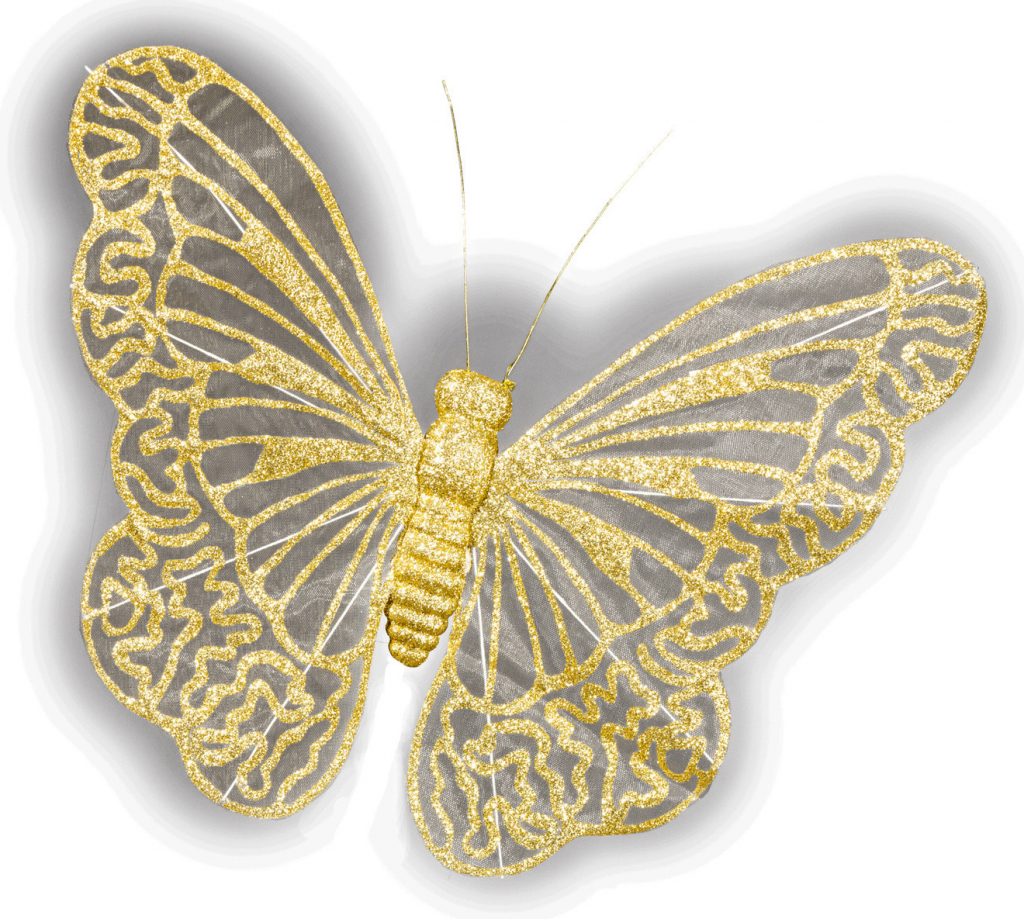 Motýľ zlatý od 2,39 € - Heureka.sk