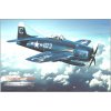 Lietadlo Grumman F8F Bearcat - ceduľa 29cm x 20cm Plechová tabuľa