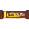 Bombus Raw Protein 20% 50g Salted Caramel