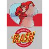 DC Comics Flash: The Silver Age Omnibus 2
