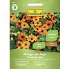 Čiernooká Zuzana Thunbergia krídlatá FloraSelf oranžová