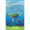 E-kniha Dobrodružstvo na Ostrove korytnačiek - Pavel Chodúr, Klaudia Zorgovská (ilustrátor)