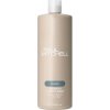 Paul Mitchell Classic Awapuhi Conditioner 1000 ml