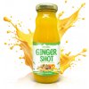 Vitateka Zázvorový shot s mandarínkou – 200 ml –