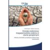 Energia wodorowa: magazynowanie wodoru w stanie sprzężonym (Vladimir Litunovsky)()