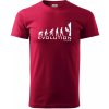 Evolution Climb - Klasické pánske tričko vyššej gramáže - XL ( Marlboro červená )