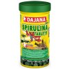 Dajana Spirulina Tablets 100 ml