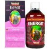 Benefeed Energit H 500 ml