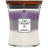 WoodWick Trilogy - Amethyst Sky 275 g