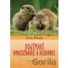 Dojímavé hmyzožravce a hlodavce - Ivan Kňaze