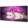 Foto obraz canvas Ružová orchidea 100x50 cm