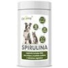 Dromy Spirulina 600 tbl.