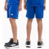 Adidas Entrada 22 Short Y Jr Šortky HG6291
