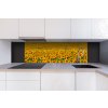 DIMEX | Dibond doska za kuchynskú linku | DBW-18060-030 Lány slnečníc | 180 x 60 cm + Dibond obkladová doska Dimex do kuchyne Lány slnečníc v rozmere 180 x 60 cm