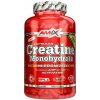 Amix Creatine Monohydrate 750mg 220 kapsúl