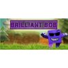 Brilliant Bob (Voucher - Kód na stiahnutie) (PC) (Digitální platforma: Steam, Jazyk hry: EN)