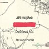 Dešťová hůl - Jiří Hájíček - online doručenie