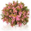BiOrb Topiary Ball Pink 5 cm
