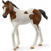 Schleich Schleich Zvieratko - Žriebä paint horse OLP102614899
