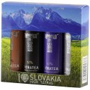 Tatratea 42%-72% Tatry 4x 0,04 l (set)