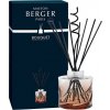 Maison Berger Paris Aróma difuzér Spirale jantárová 222 ml