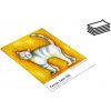 FOMEI Collection Canvas Satin, A4, 5 listů, 350 g/m2