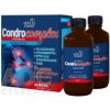 Adelle Davis CondroComplex lipozomalna kĺbová výživa 2x500 ml (1000 ml)