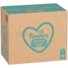 Pampers Pants 7 114 ks 114 jednorazových nohavičiek