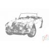 Vymalujsisam.sk Bodkovanie - Austin Healey Farba: Modrá, Veľkosť: 40x60cm, Rám: Bez rámu, iba zrolované plátno