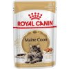 Royal Canin Maine Coon 12 x 85 g