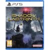 Shadow Labyrinth (PS5)