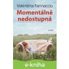 E-kniha Momentálně nedostupná - Valentina Farinaccio