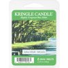 Kringle Candle Spanish Moss vosk do aromalampy 64 g