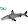 Atlas C Žralok 17cm
