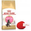 ROYAL CANIN Maine Coon Kitten 10kg + ZADARMO mačacia guľa!