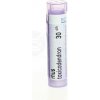Boiron Rhus Toxicodendron CH30 4 g homeopatických granúl v tube