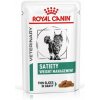 Royal Canin VHN Satiety cat kapsička pre mačky 12 x 85 g