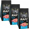 DOLINA NOTECI Rafi Cat suché krmivo pre mačky s jahňacím mäsom 3x1,5kg
