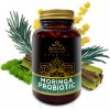 Altevita Moringa Probiotic 60 kapsúl
