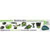 40V pracovná lampa Greenworks G40WL