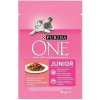 PURINA ONE Junior mini filetky s lososom a mrkvou v šťave 85g